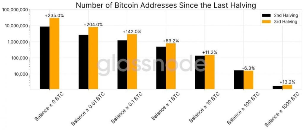 Number of Bitcoin Addresses since the last halving